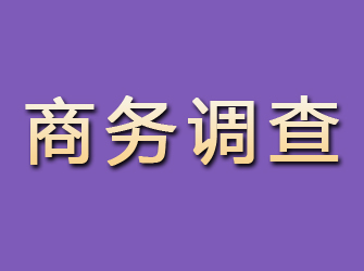 株洲找私家调查调查行踪要多少钱？全面了解费用结构与影响因素